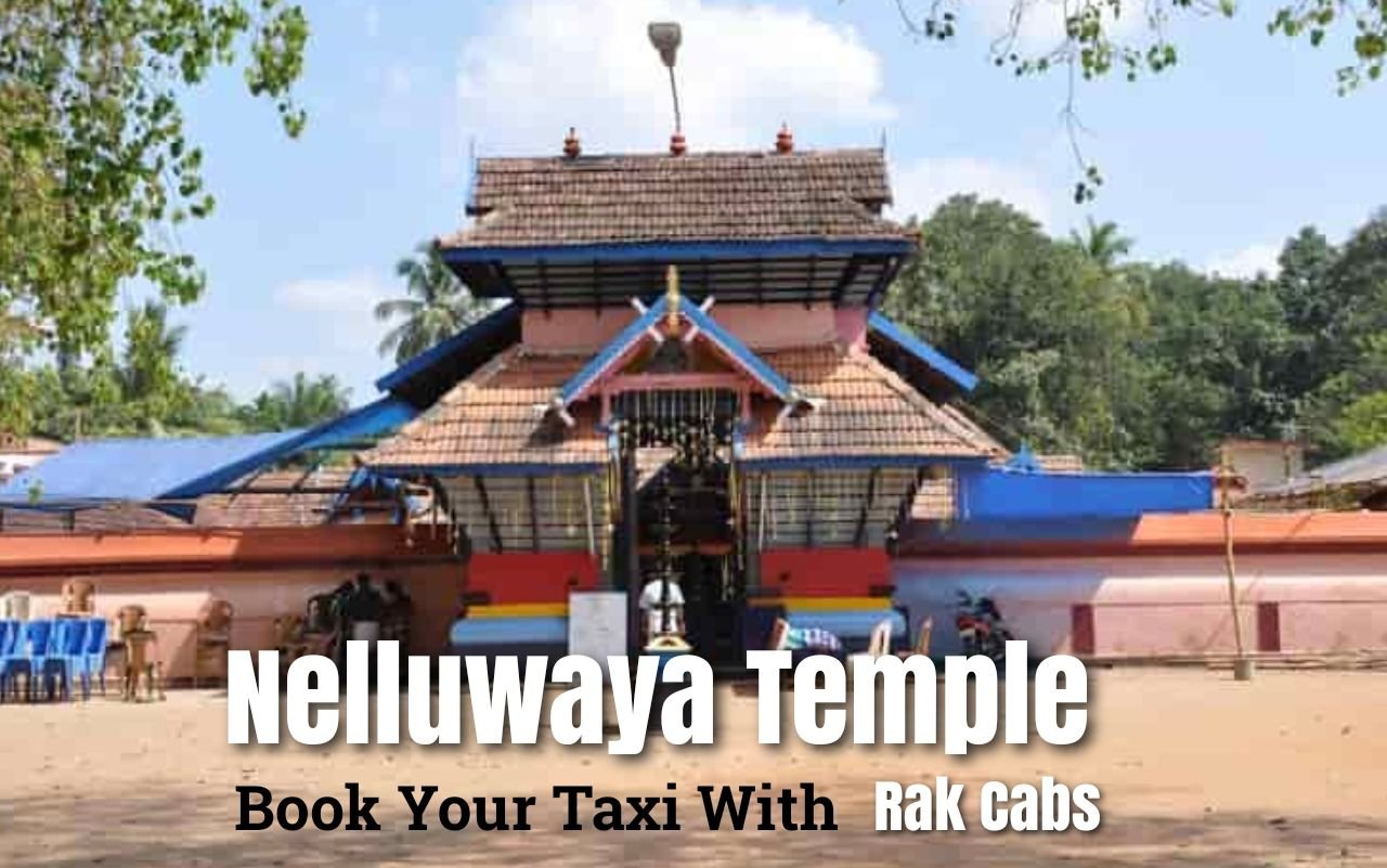 nelluwaya temple, pilgrimage tours